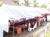 Miris !!! Dijaman ini Masih ada Siswa Belajar di Tenda Darurat Melawan Terik Matahari